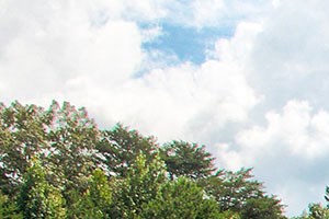 Site sign